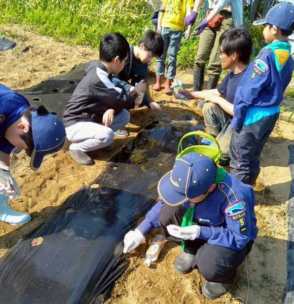 CS5団・8団合同農業体験