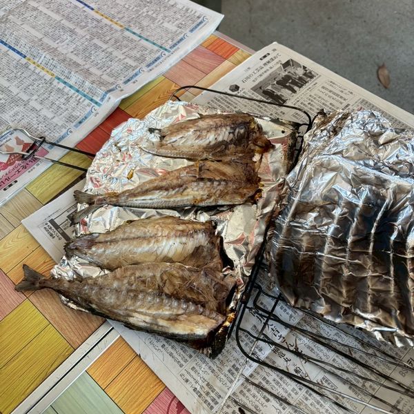 BS海釣り